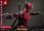Wolverinepool (Prototype Shown) View 8