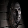 The Origin of Nosferatu (The Albin Grau Edition) Wall Plaque (Prototype Shown) View 7