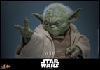 Yoda (Prototype Shown) View 6