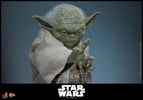 Yoda (Prototype Shown) View 7