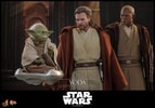 Yoda (Prototype Shown) View 21