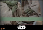 Yoda (Prototype Shown) View 22