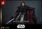 Anakin Skywalker™ (Concept Art Version) (Artisan Edition) (Prototype Shown) View 9