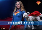 Supergirl™ & Krypto™ (Prototype Shown) View 1