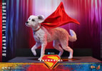 Supergirl™ & Krypto™ (Prototype Shown) View 5