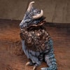 Moon-Collard Dragon (Prototype Shown) View 5