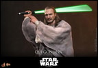 Qui-Gon Jinn™ Collector Edition (Prototype Shown) View 8