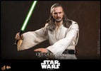 Qui-Gon Jinn™ Collector Edition (Prototype Shown) View 9