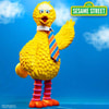 Big Bird (Prototype Shown) View 1