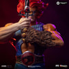 Lion-O (Prototype Shown) View 3