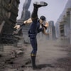 Kenshiro (Prototype Shown) View 5