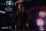 Captain Seven of Nine (Prototype Shown) View 11