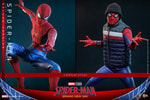 Spider-Man (Deluxe Version) (Prototype Shown) View 17