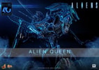 Alien Queen (Prototype Shown) View 1