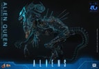 Alien Queen (Prototype Shown) View 11