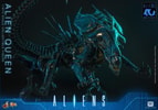 Alien Queen (Prototype Shown) View 13