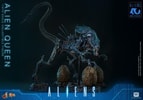 Alien Queen (Prototype Shown) View 14