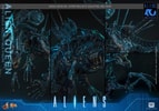 Alien Queen (Prototype Shown) View 18