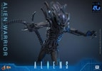 Alien Warrior Collector Edition (Prototype Shown) View 8