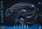 Alien Warrior Collector Edition (Prototype Shown) View 10