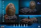 Alien Warrior (Deluxe Version) (Prototype Shown) View 19