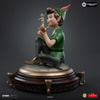 Peter Pan & Tinker Bell (Prototype Shown) View 7