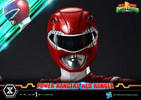 Red Ranger (Prototype Shown) View 14