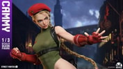 Cammy (Prototype Shown) View 1
