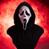 Ghost Face (Prototype Shown) View 1