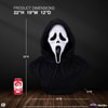 Ghost Face (Prototype Shown) View 2