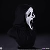 Ghost Face (Prototype Shown) View 6