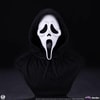 Ghost Face (Prototype Shown) View 7