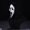 Ghost Face (Prototype Shown) View 8