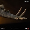 Stegosaurus (Prototype Shown) View 5