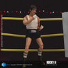 Rocky II (Boxer Version) (Prototype Shown) View 6