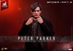 Peter Parker (Prototype Shown) View 1