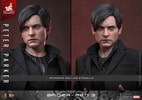 Peter Parker (Prototype Shown) View 18
