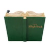 Jungle Book Storybook (Prototype Shown) View 6