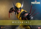 Wolverine Collector Edition (Prototype Shown) View 1