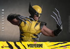 Wolverine Collector Edition (Prototype Shown) View 12
