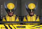 Wolverine Collector Edition (Prototype Shown) View 15