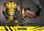 Wolverine Collector Edition (Prototype Shown) View 16