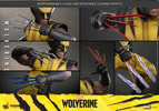 Wolverine Collector Edition (Prototype Shown) View 17