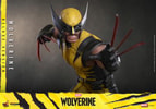 Wolverine (Deluxe Version) (Prototype Shown) View 17