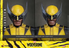 Wolverine (Deluxe Version) (Prototype Shown) View 19
