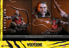 Wolverine (Deluxe Version) (Prototype Shown) View 22