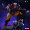 Wolverine (Prototype Shown) View 4