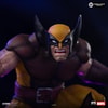 Wolverine (Prototype Shown) View 6