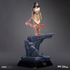 Pocahontas Colors of the Wind Version (Prototype Shown) View 8