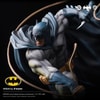 Batman IKIGAI (Prototype Shown) View 5